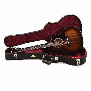 Amazon.com: Taylor 222ce-K DLX Grand Concert Acoustic